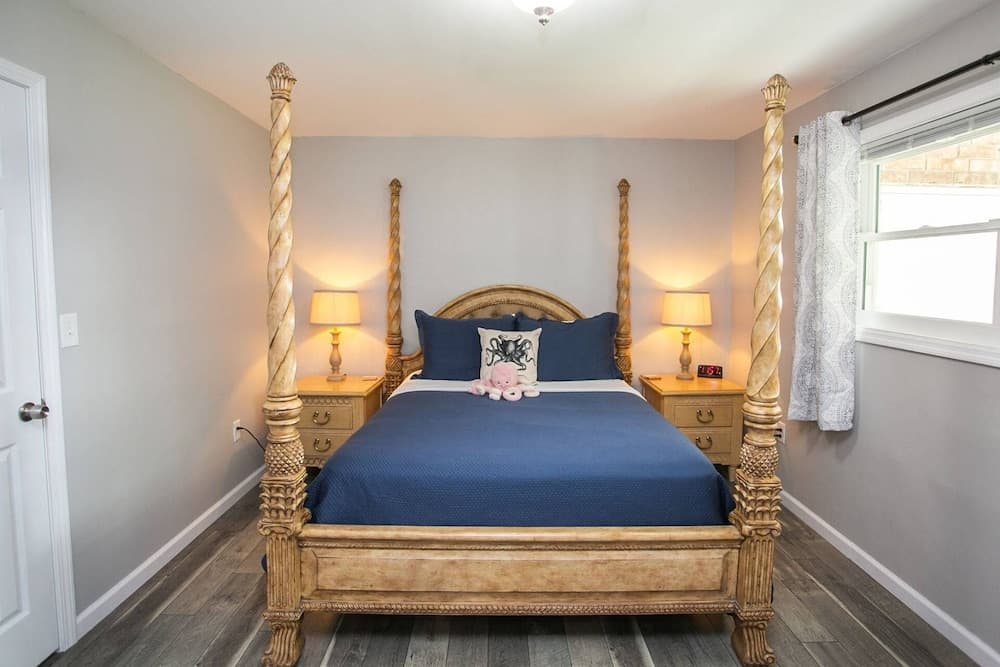 The Octopus Sanctuary