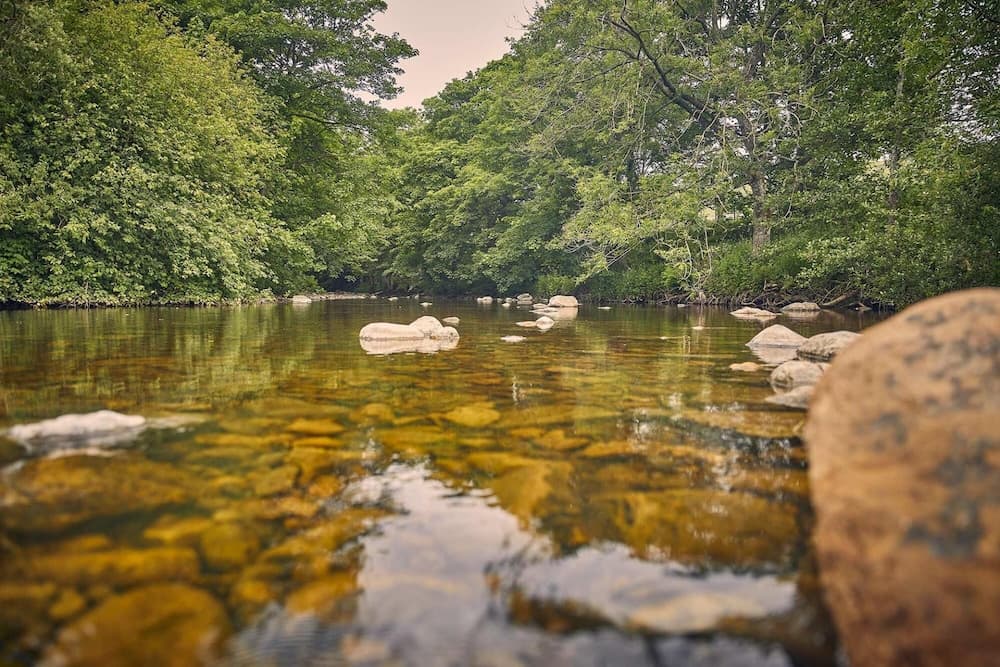 Host Stay Chapel Race - Bowlees