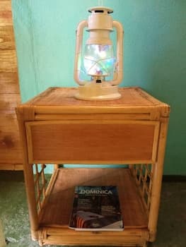 Berkey's Jungle Paradise