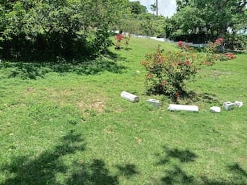 Inviting 2-bed House in Fair Prospect