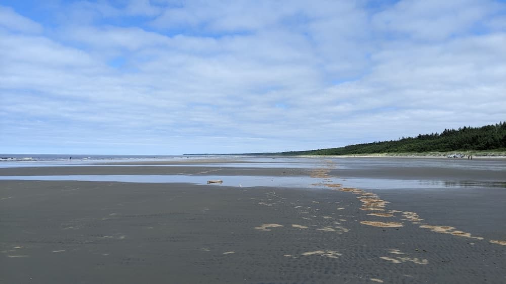 Singing Surf Inn & Pub