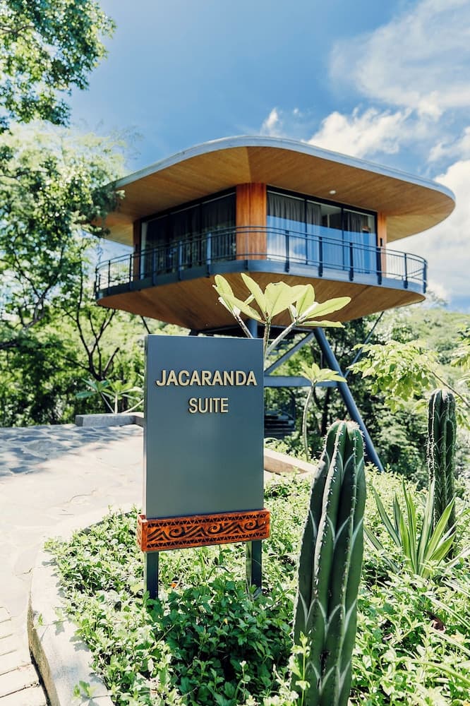 Suitree Experience Hotel