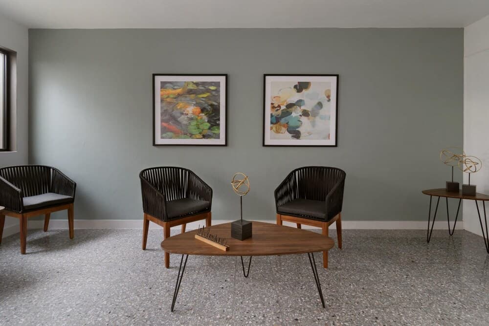 Light Filled Modern Apartment With Private Garden