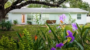 South Tampa Sweet Retreat