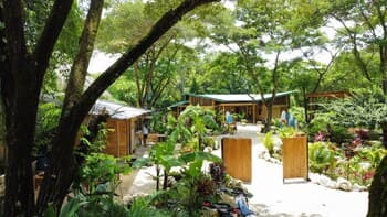 Bamboo Surf House - Hostel