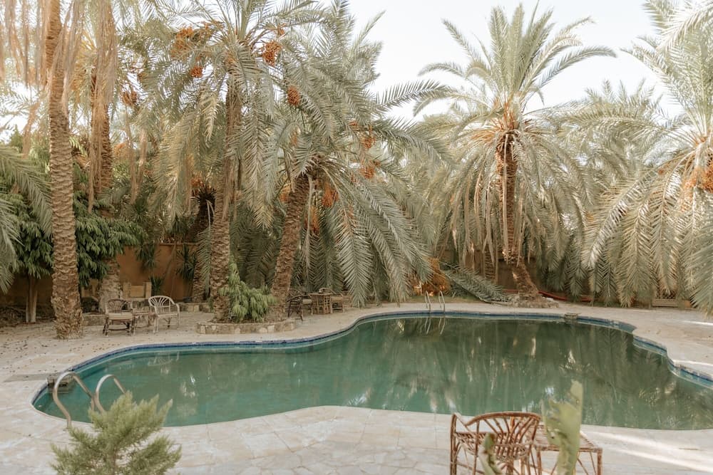 siwa safari paradise hotel