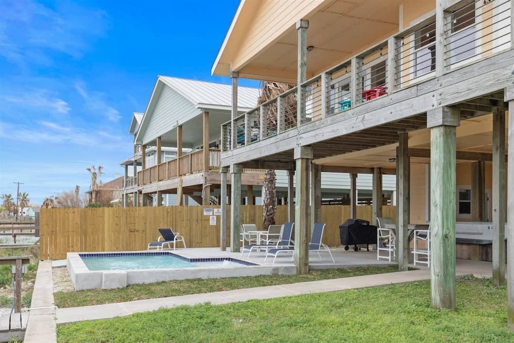 The Cat's Meow by Miss Kitty’s