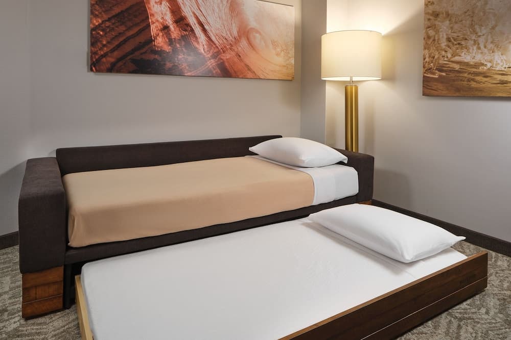 SpringHill Suites by Marriott Jacksonville Baymeadows