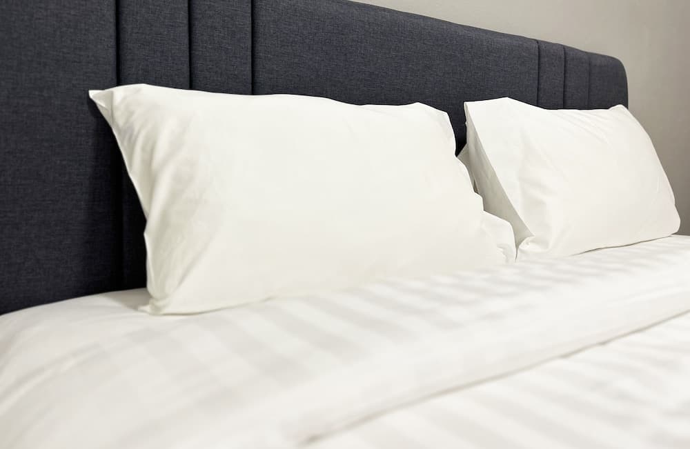 Golden Nest Hotel - Suvarnabhumi