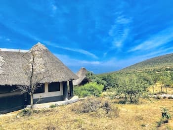 Explore Mara Camp