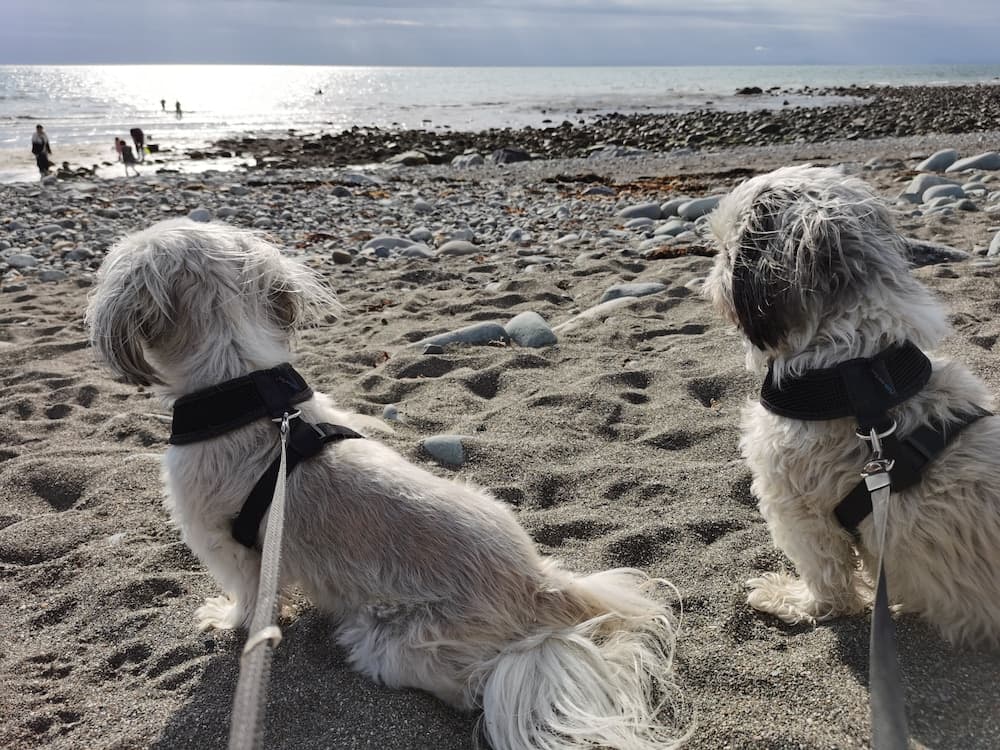 Snowdonia Sunbeach Holiday Sea and Mountain View