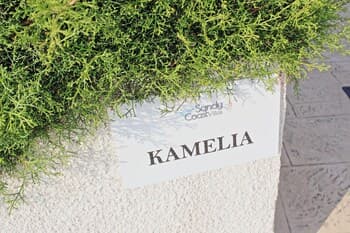 Villa Kamelia in Argaka