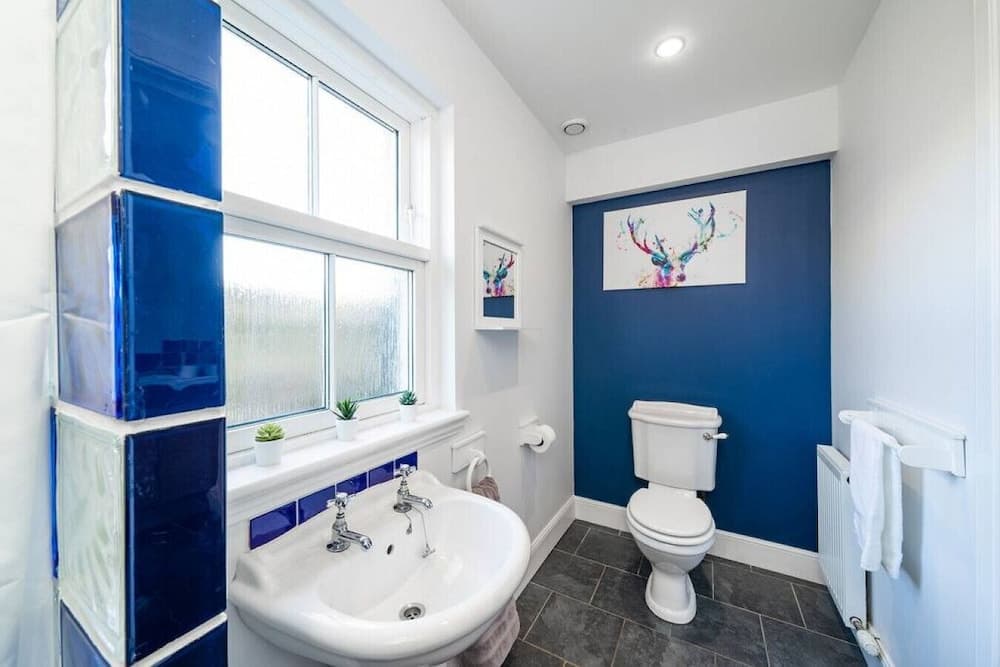 Thatched Cottage - hot tub BBQ and Pool Table