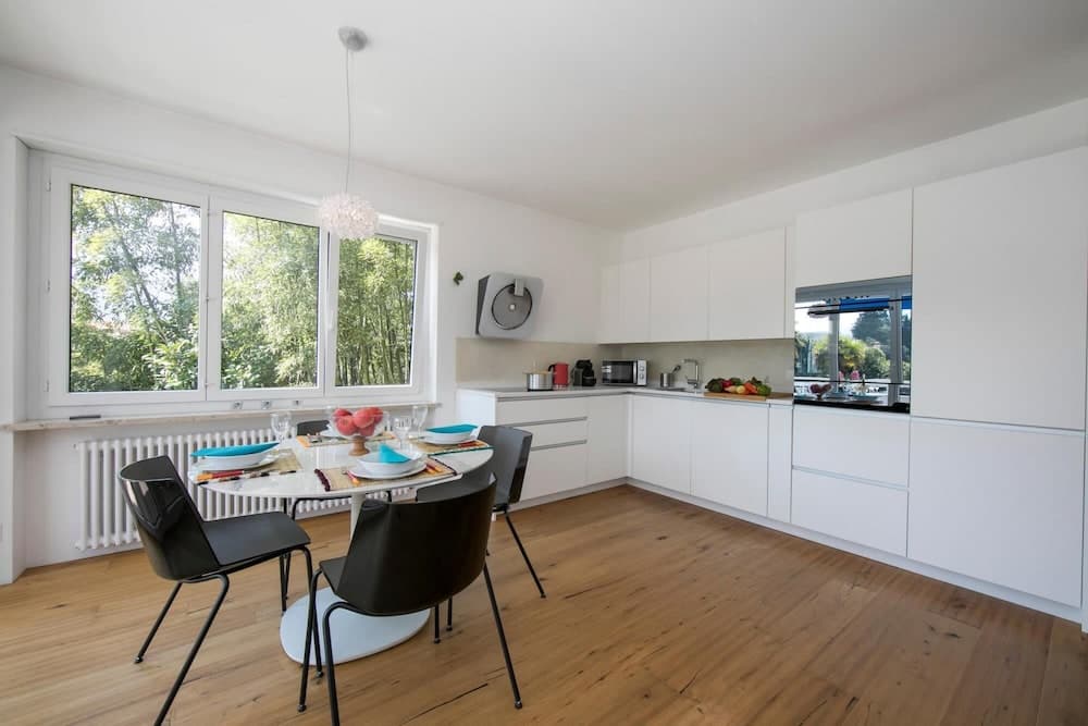 Charm Apartment in Ascona