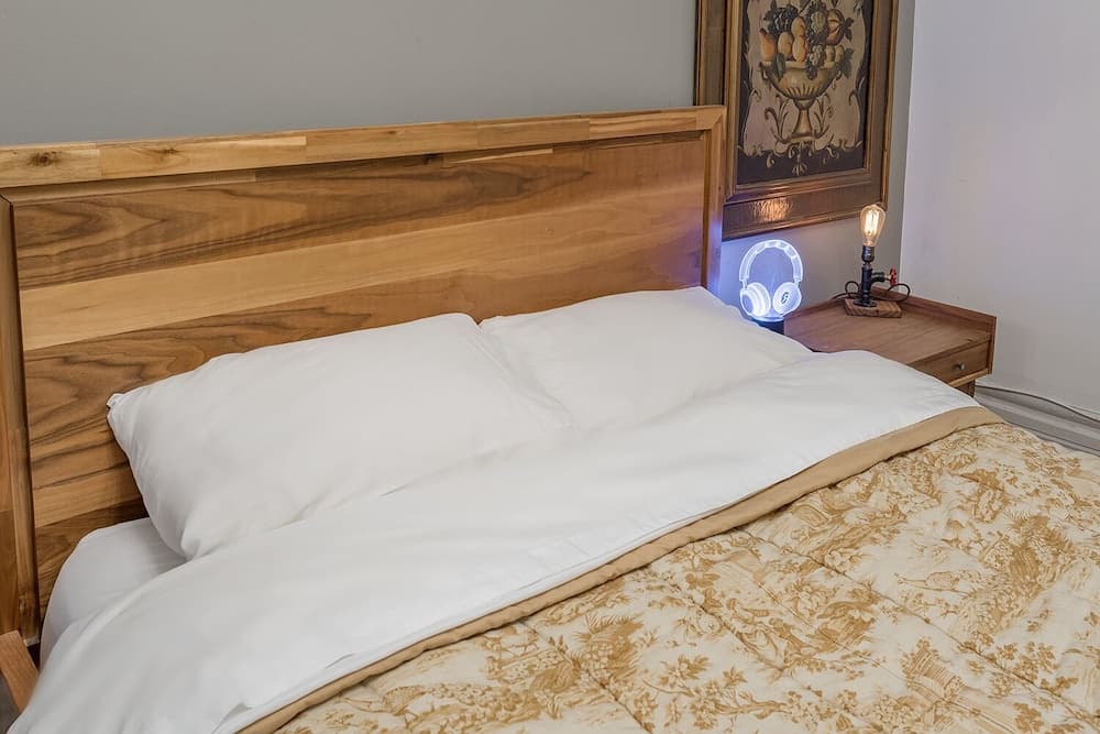 Beautiful 2 BR in the Heart of Downtown