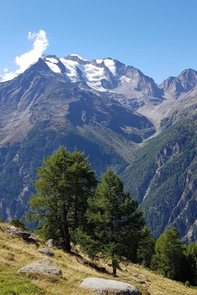 Saasunia Saas-grund in Saas-grund