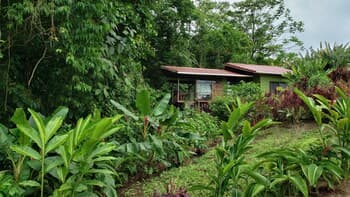 Cabañas Caeli Rainforest Glass Cabin w/ Suite, Near La Fortuna