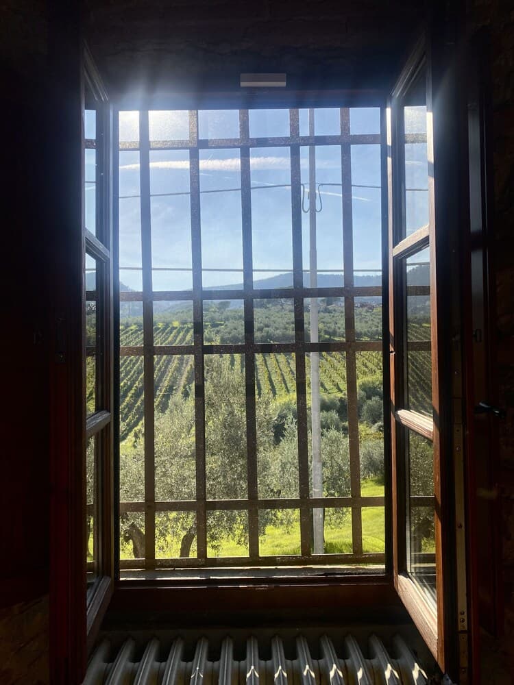Alessio Room Overlooking the Vineyards of Tuscany