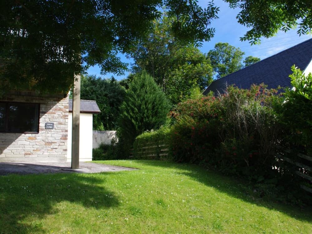 Saffa Little Petherick