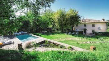 La Dama Del Bosco 8 3