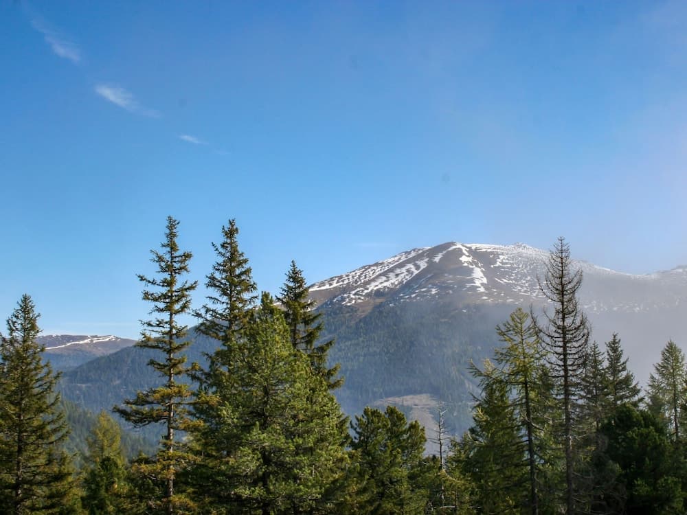 Chalet Zirbenwald I 9P Turrach