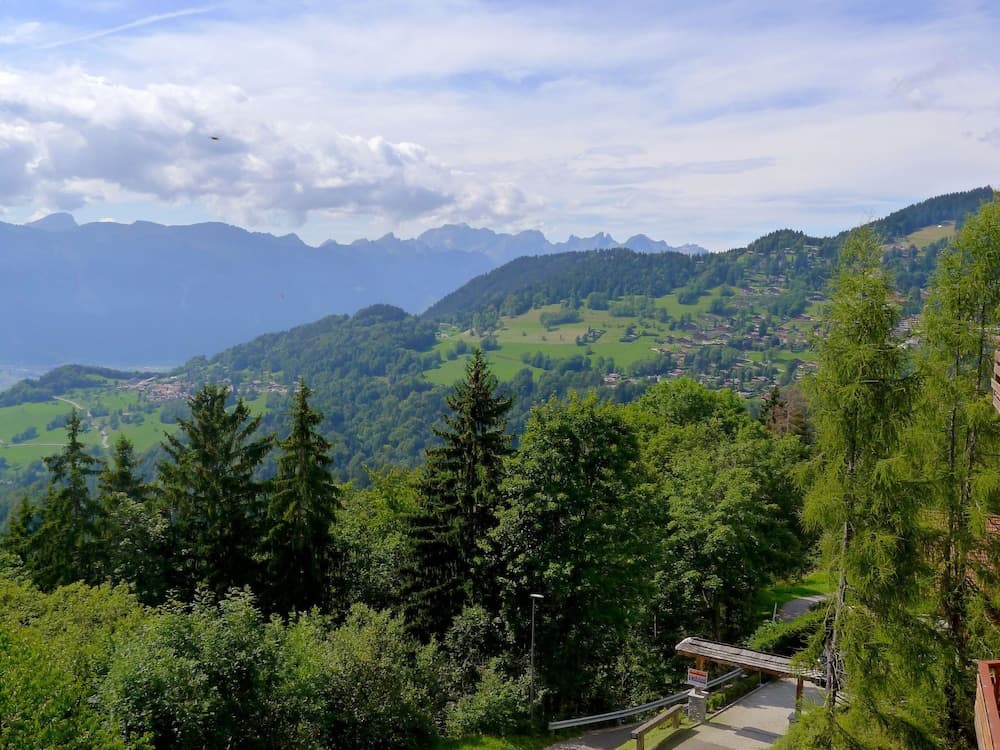 Le Bristol B36 Ollon