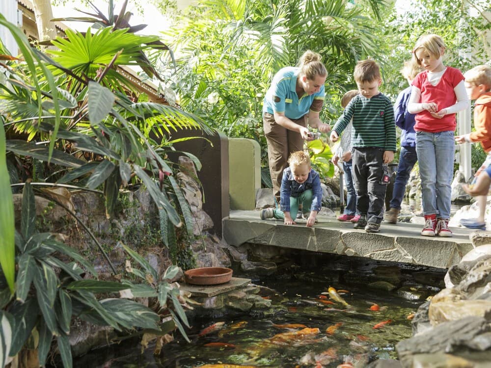 Center Parcs De Limburgse Peel America