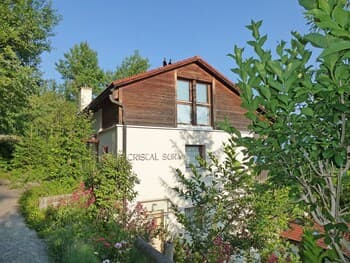 Cristal Sura Flims in Flims