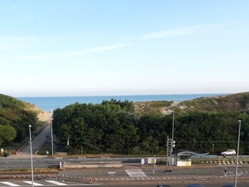 Meiboom Bredene in Bredene