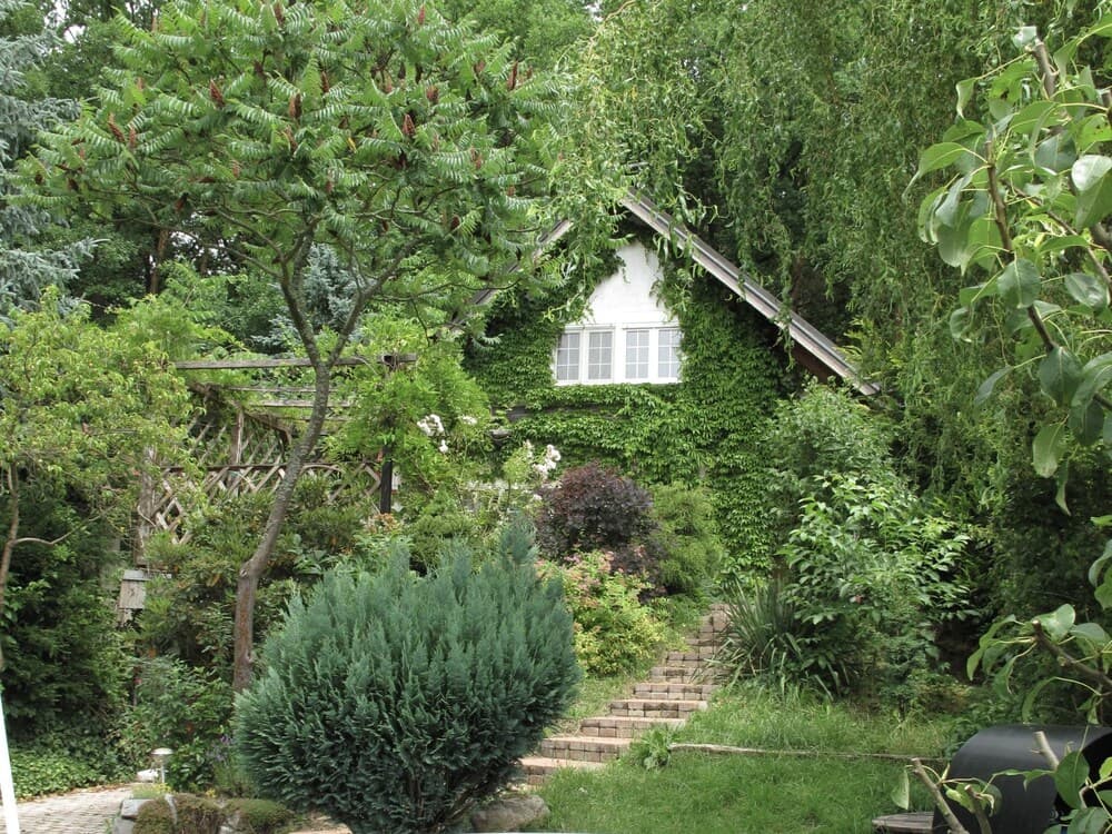 Karasova II Abov Esky