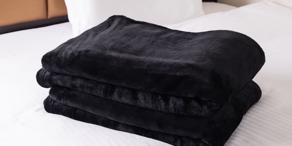 APA Hotel Nagatacho Hanzomon Ekimae