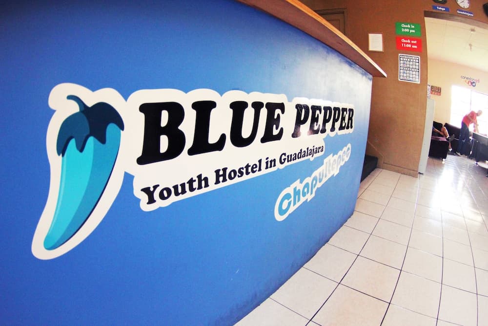 Blue Pepper Chapultepec