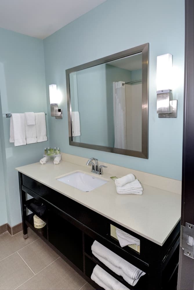 Holiday Inn Express & Suites Austin South by IHG