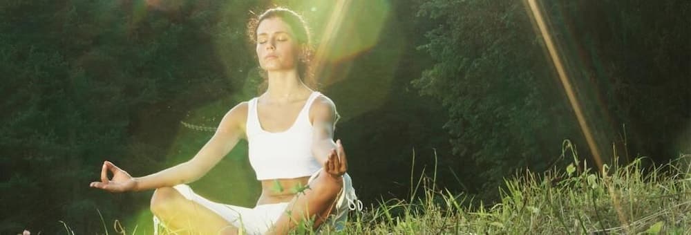 Lakeview At Fontana A Rustic Mountain Inn & Spa