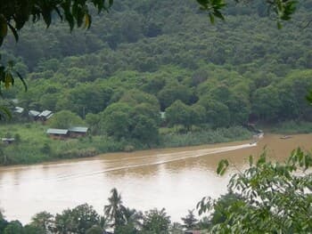 Nature Lodge Kinabatangan