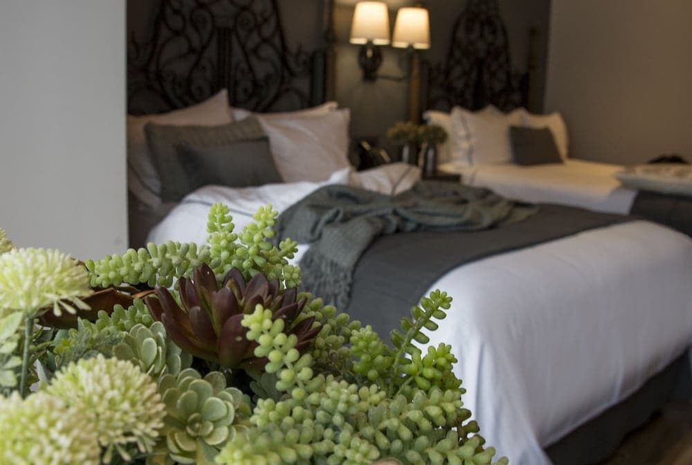 Zocalo Central & Rooftop Mexico City