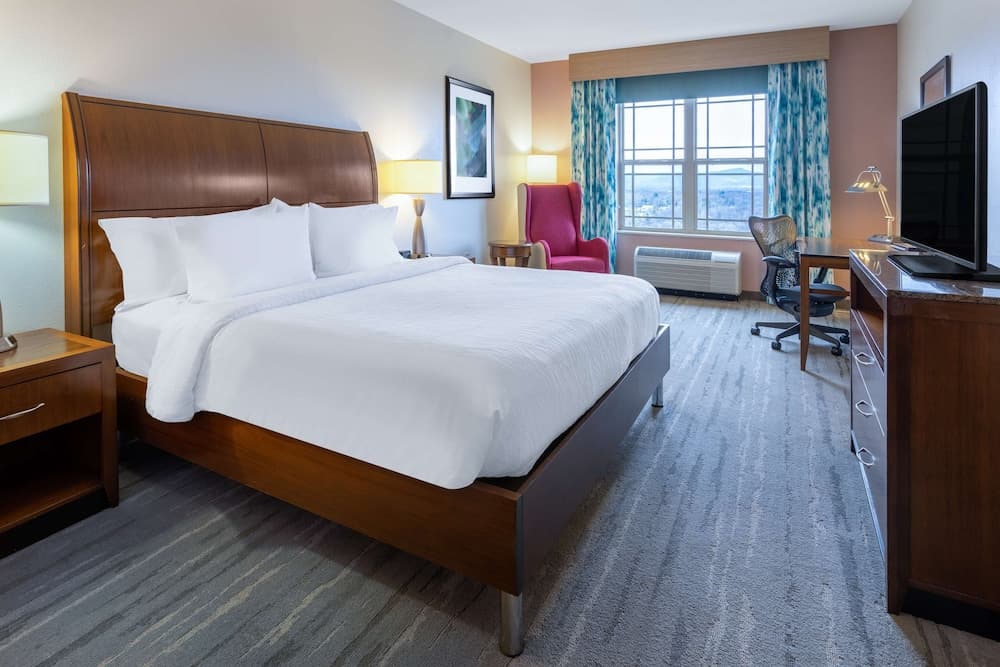 Hilton Garden Inn Roanoke