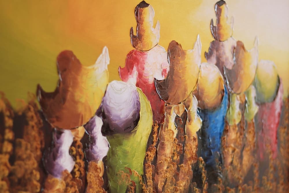 Star View Boutique Resort