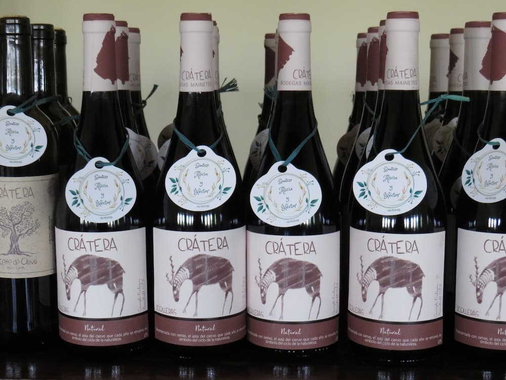 Hotel Enoturismo Mainetes