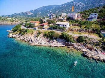 Delfin Cesarica in Cesarica