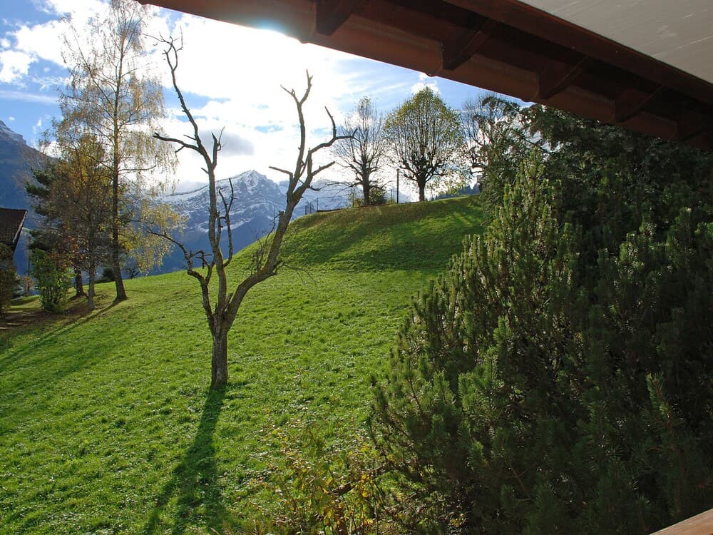 Brocard Val-dilliez in Val-dilliez