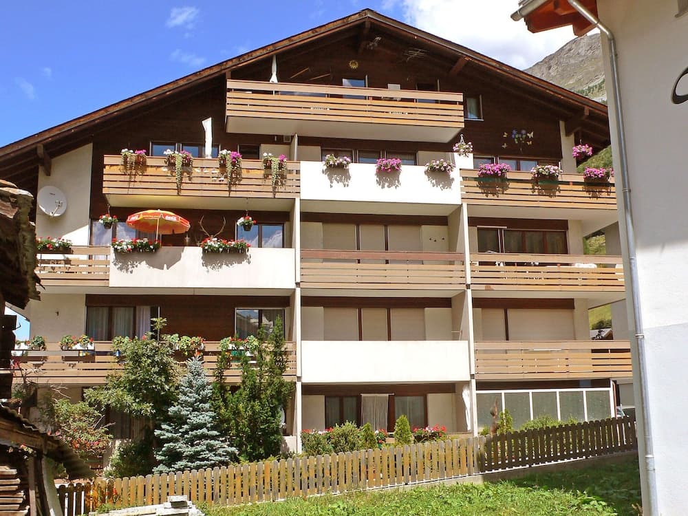 Castor und Pollux T sch