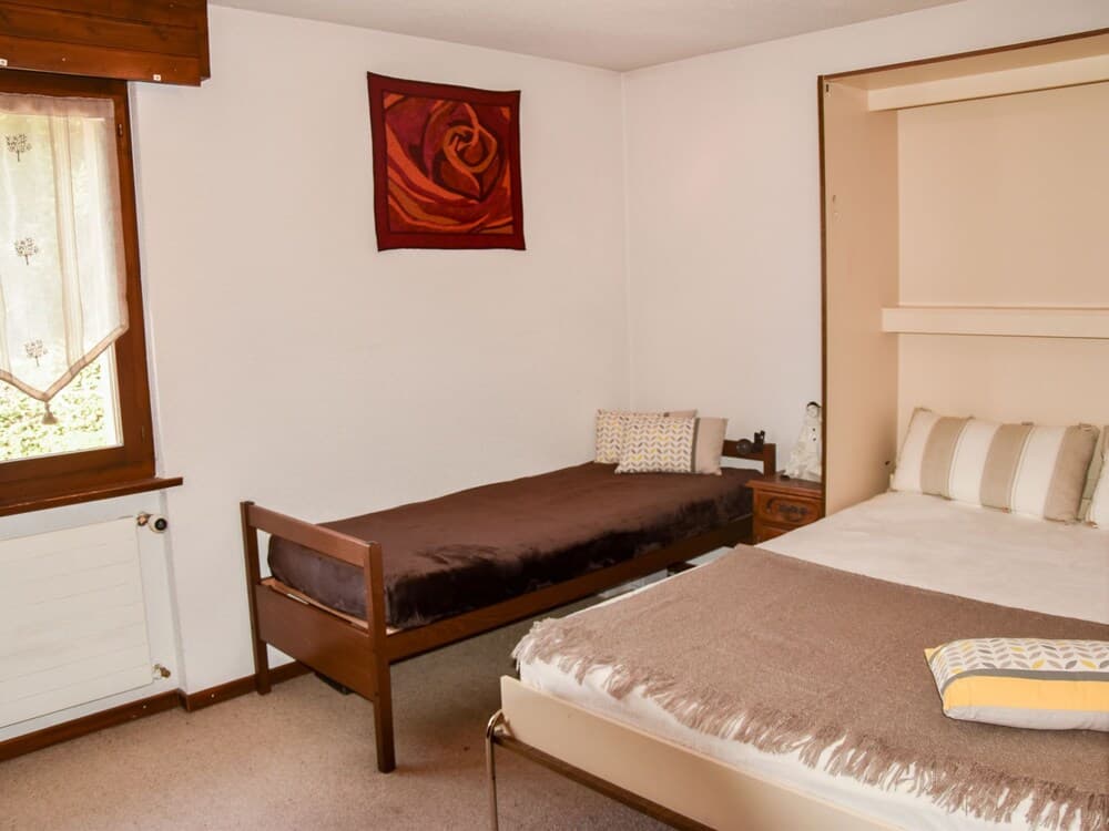 Lichen 4 Bagnes in Bagnes