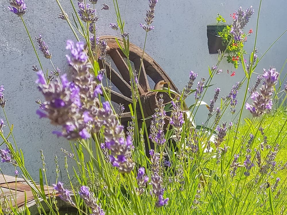 Stefanina Salakovci in Salakovci