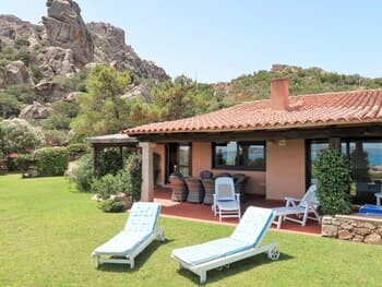 Mimosa Punta Sardegna