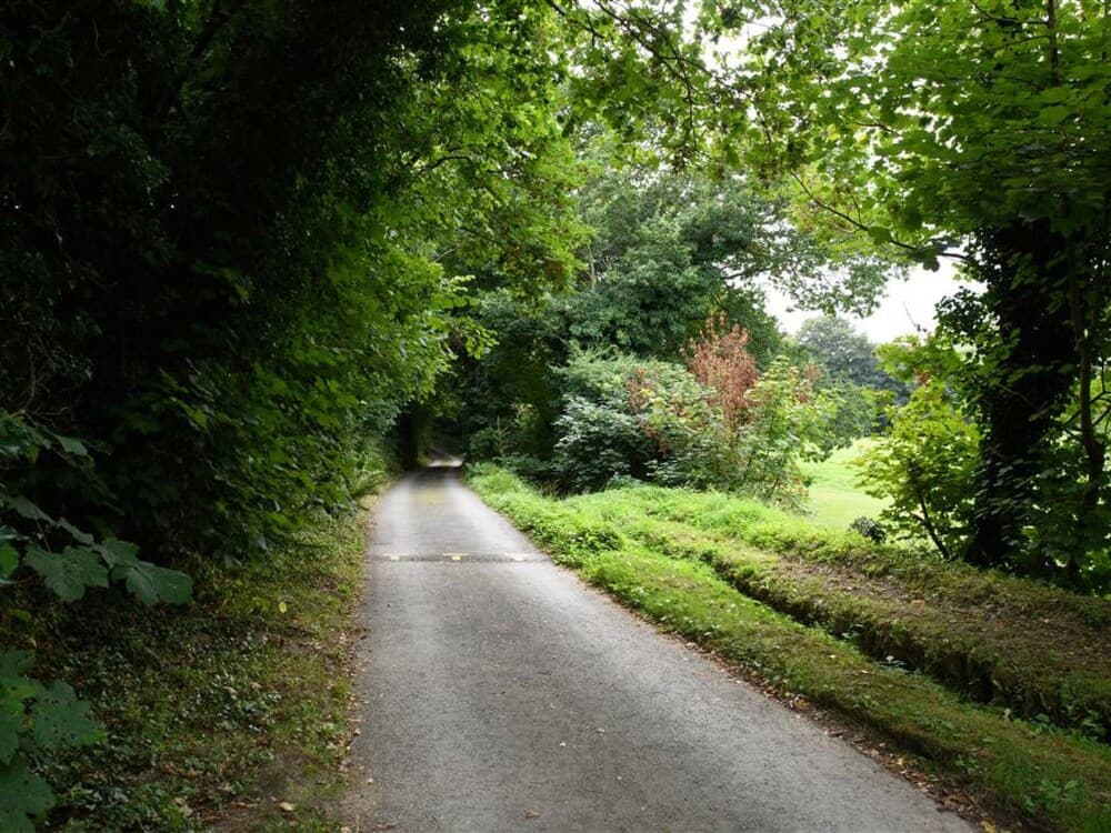 Swan Dunmere in Dunmere