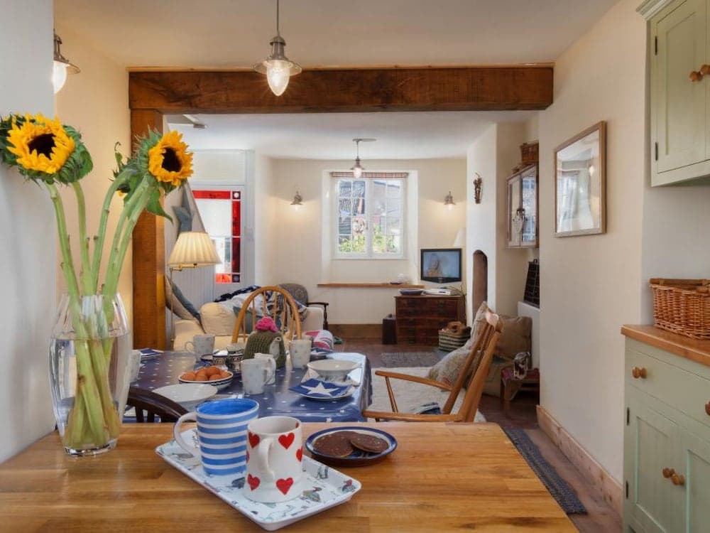 Starco Shaldon in Shaldon