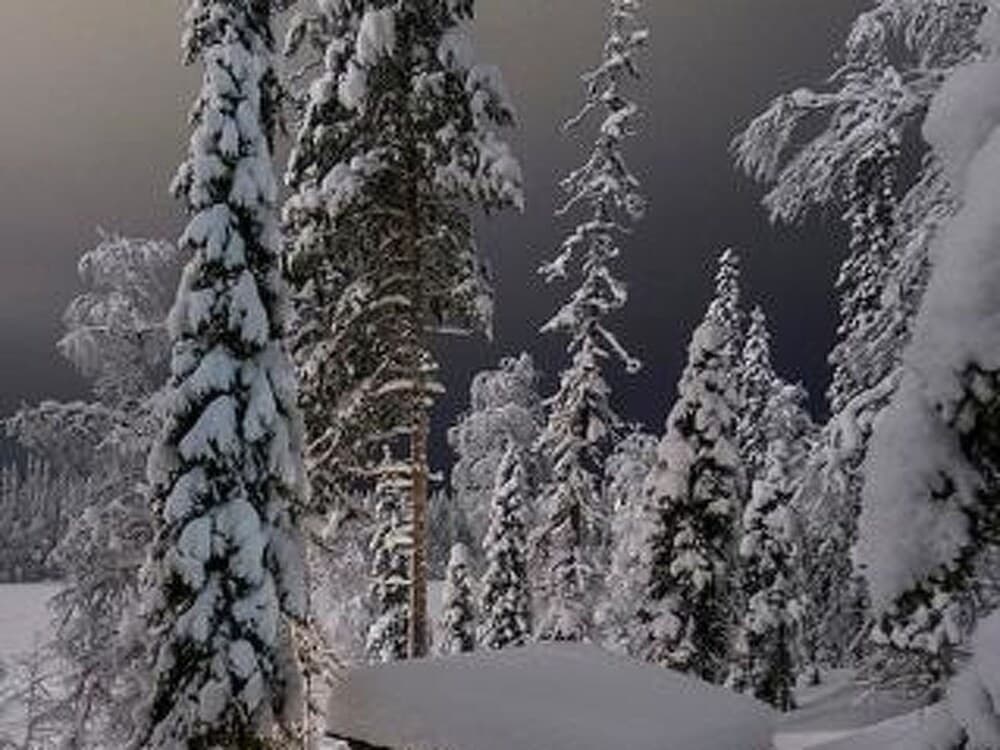 Pikkuporo Kuusamo in Kuusamo