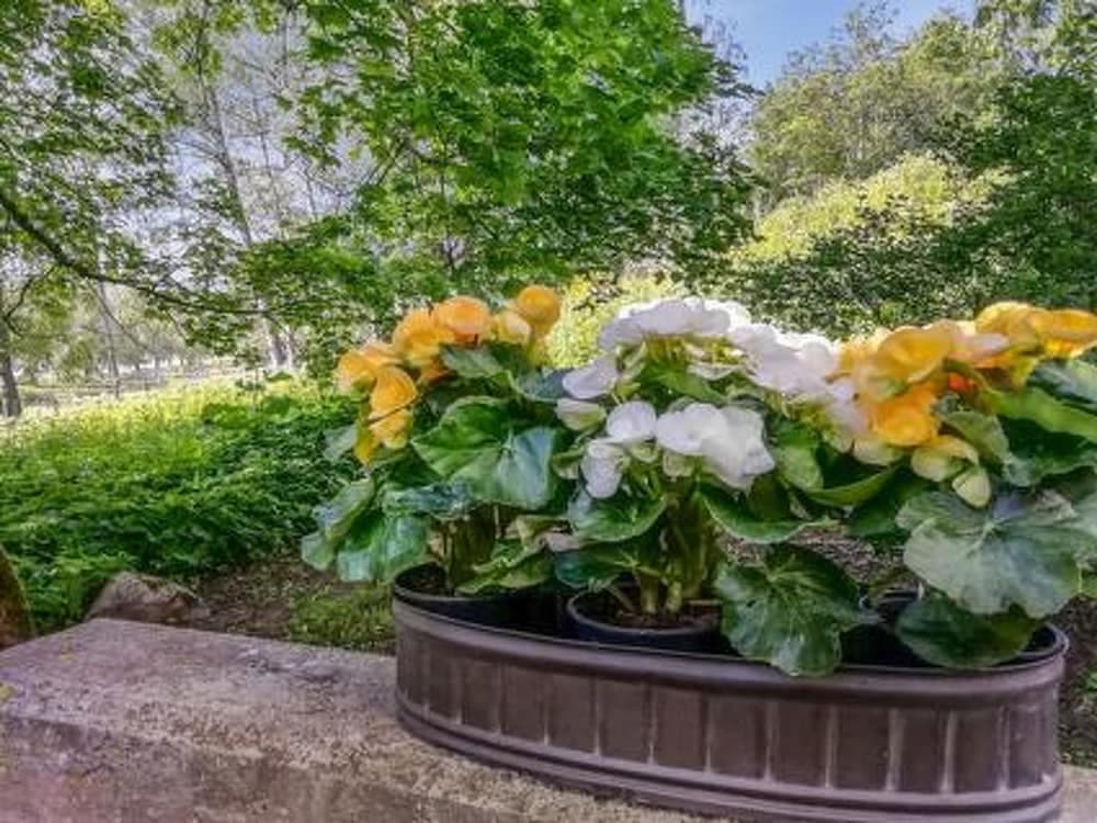 Aulangonranta H Meenlinna