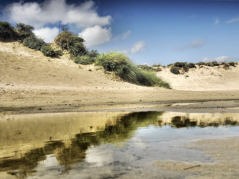 de Witte Raaf Noordwijk